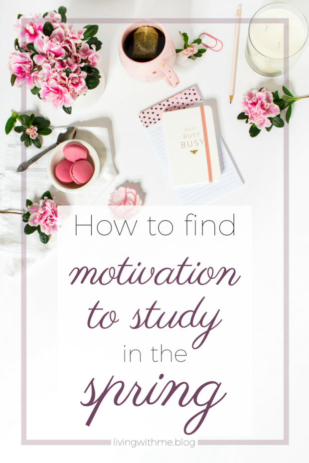 Are you struggling to stay motivated in the Spring? Well here are 5 tips to help you stay on track with your studying AND also enjoy the nicer weather!